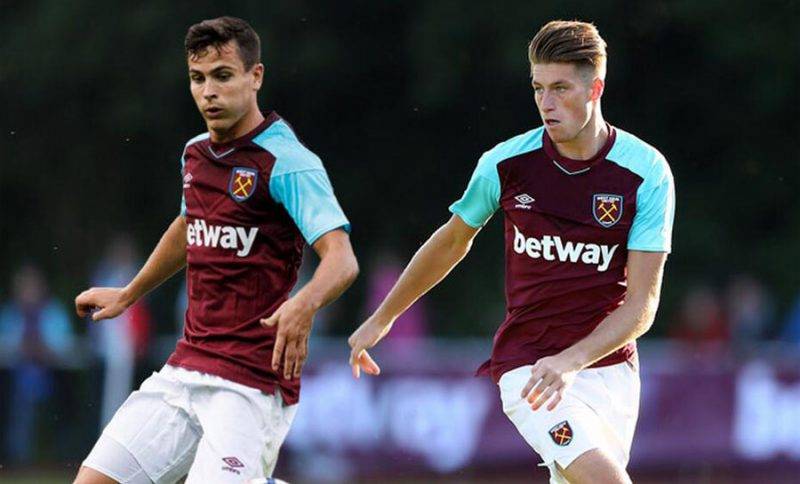 野和团队配 野和团队配